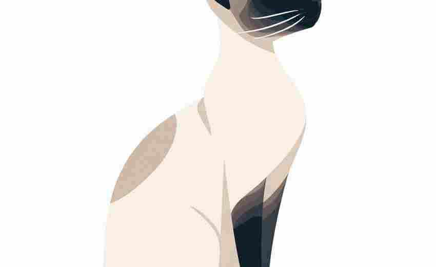 在瀘州，常見(jiàn)的非法SEO優(yōu)化手段有哪些？