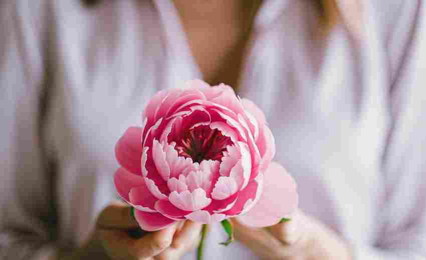 攀枝花云無限SEO服務(wù)有什么特色？