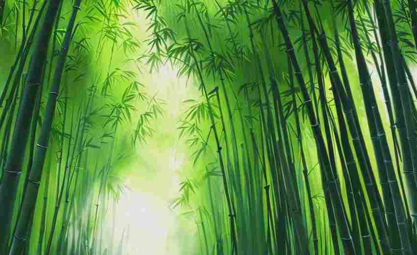 萬柏林區(qū)SEO優(yōu)化價(jià)格是多少？