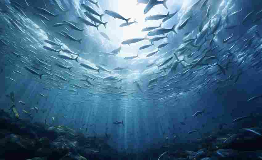 都昌地區(qū)的SEO優(yōu)化特點