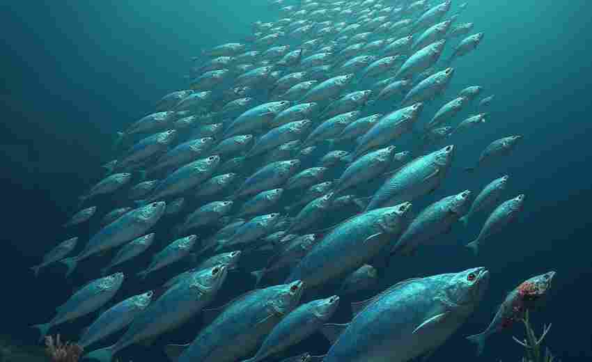 選擇常州鐘樓區(qū)SEO公司的關(guān)鍵因素有哪些？