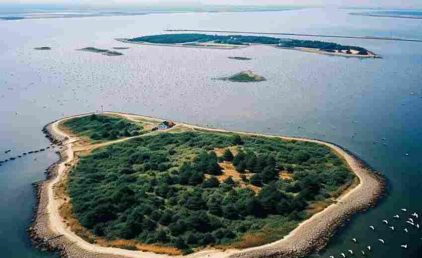 常州有哪些SEO優(yōu)化公司在專業(yè)能力和市場定位上具有優(yōu)勢？