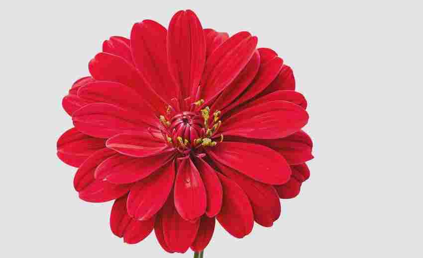 濰坊關(guān)鍵詞SEO優(yōu)化價格