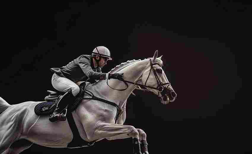 駐馬店SEO高級(jí)定制服務(wù)的報(bào)價(jià)是多少？