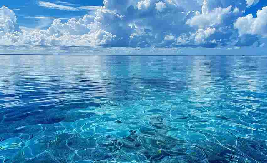 南海有哪些其他知名的SEO公司？