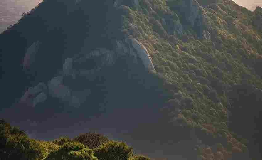 唐山有哪些提供SEO培訓(xùn)與教育的機(jī)構(gòu)？