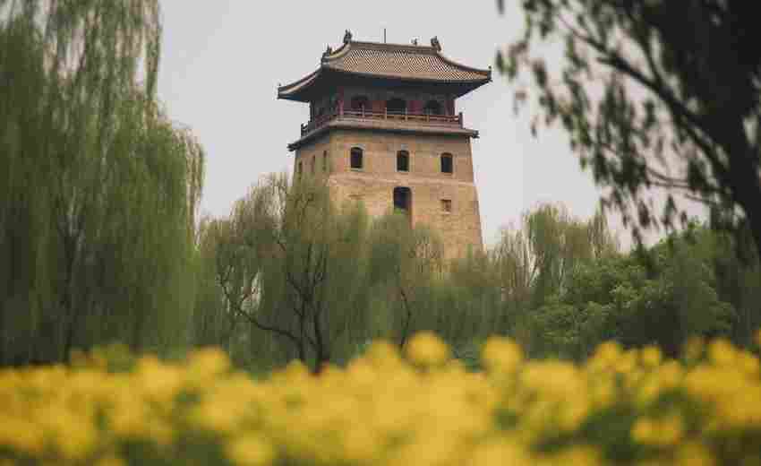 富平地區(qū)有哪些成功的SEO案例？