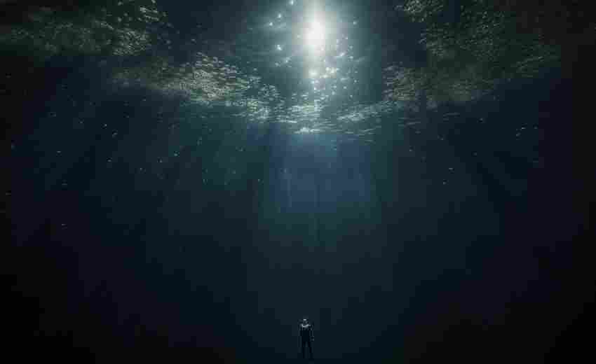 深圳網(wǎng)站建設中深海組案例的成功經(jīng)驗是什么