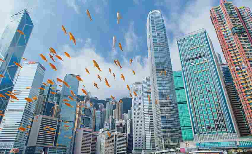 黃埔區(qū)SEO成功案例有哪些？