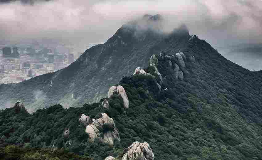 東山有哪些值得信賴的網(wǎng)站定制服務商