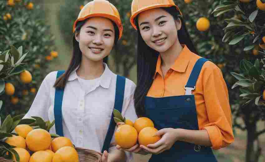 重慶橙柚青的網(wǎng)站案例有哪些成功經(jīng)驗