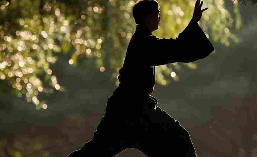 如何在網(wǎng)站設(shè)計中體現(xiàn)溫縣太極拳文化元素