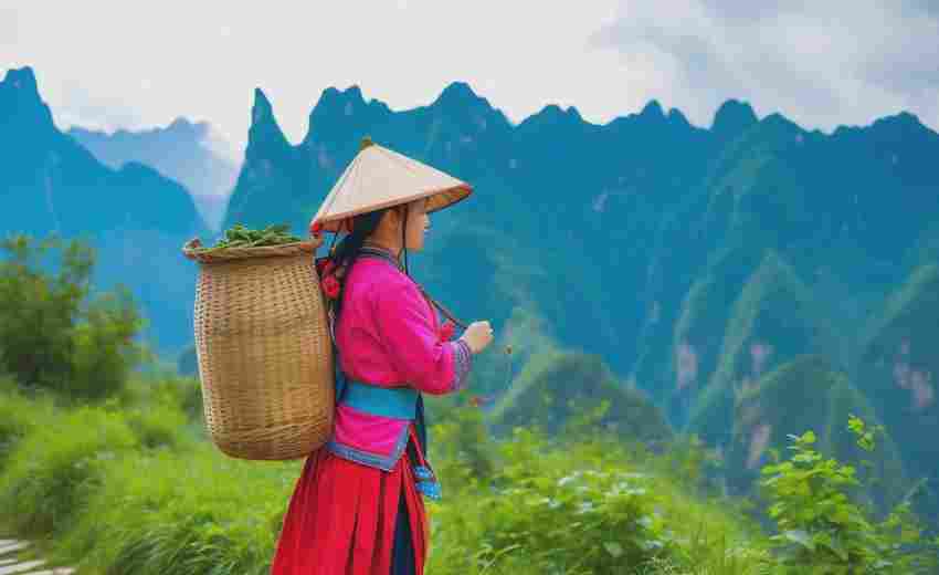 貴州農(nóng)產(chǎn)品電商網(wǎng)站的成功案例有哪些優(yōu)化策略