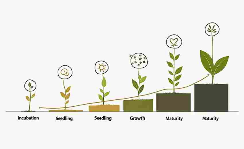 SEO優(yōu)化職業(yè)的長(zhǎng)遠(yuǎn)發(fā)展機(jī)會(huì)