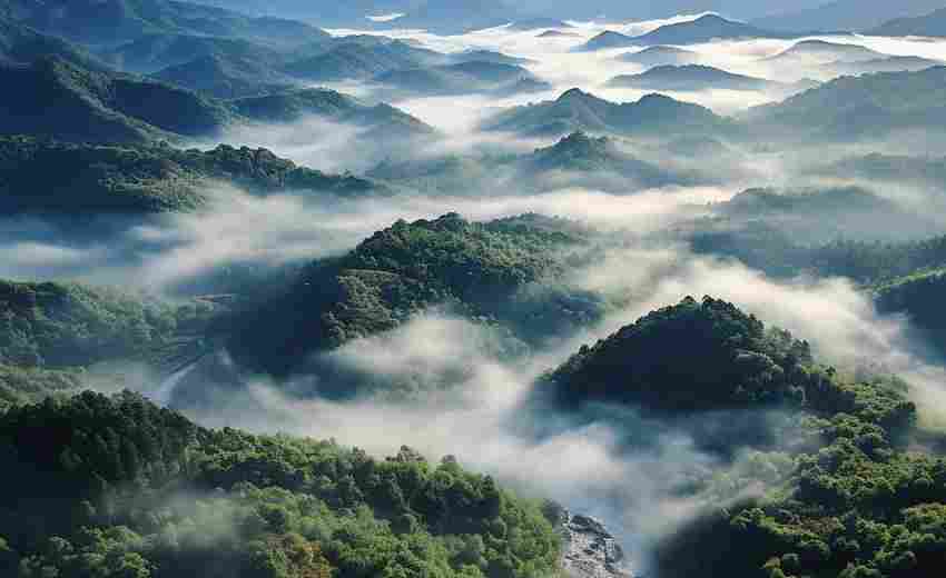 綏芬河市有哪些通過(guò)SEO實(shí)現(xiàn)業(yè)績(jī)?cè)鲩L(zhǎng)的案例？