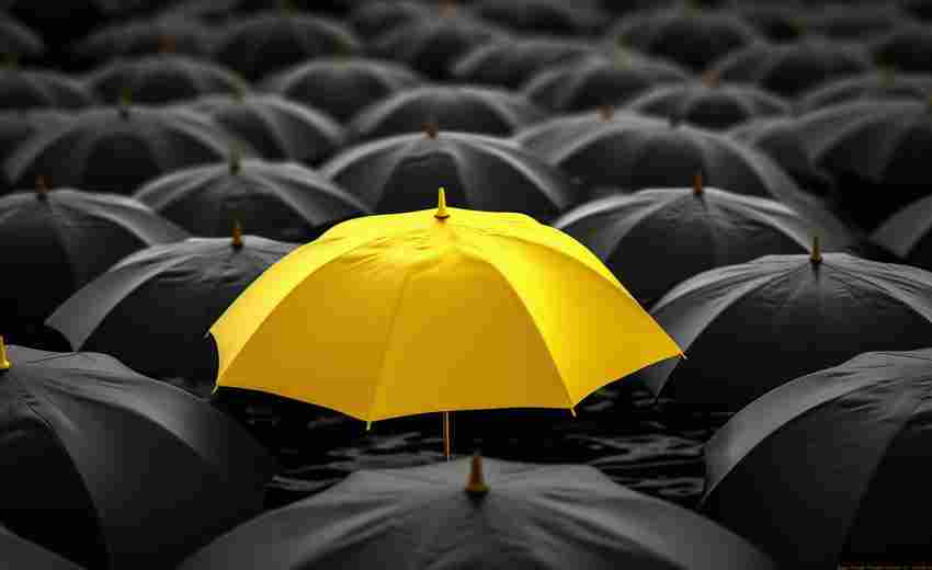 SEO站群的風(fēng)險防范措施