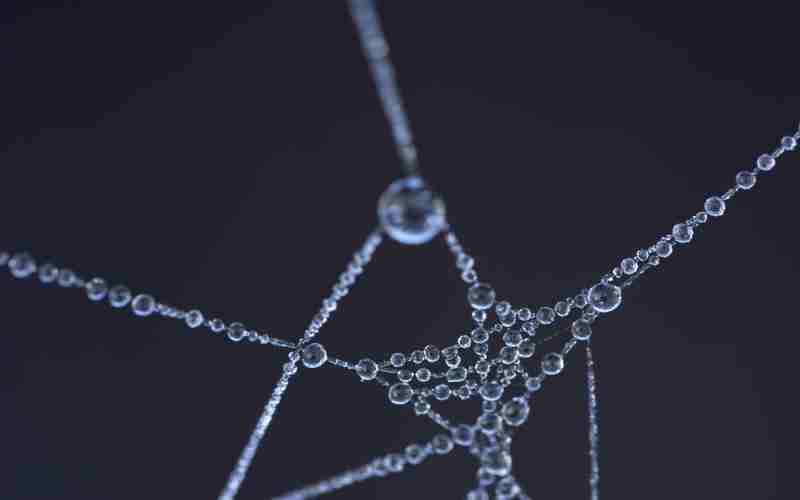 寶塔面板安裝第三方模塊_nginx第三方模塊