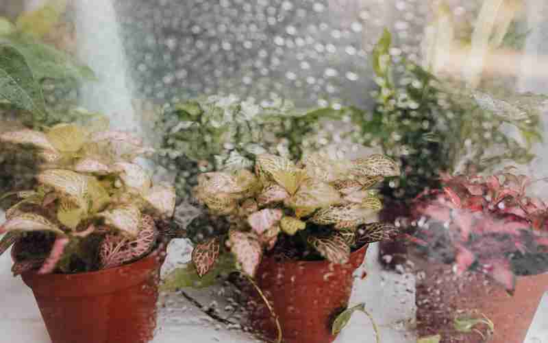 macnotepad怎么安裝插件—mac怎么下載第三方軟件