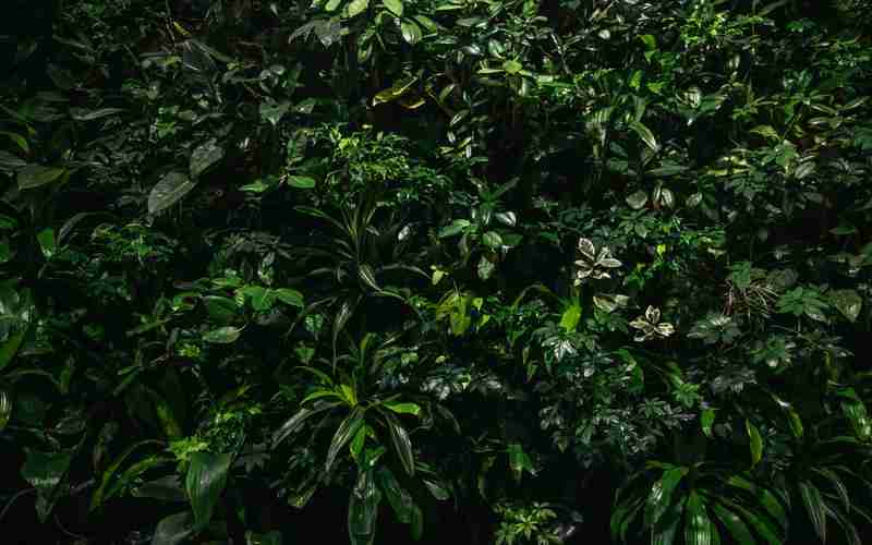 discuz 內(nèi)頁(yè)302跳轉(zhuǎn);discuz點(diǎn)擊圖片跳轉(zhuǎn)