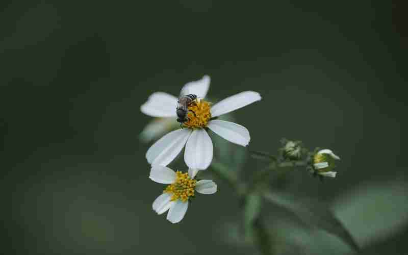 wordpress調(diào)用當(dāng)著文章tag標(biāo)簽_wordpress自定義頁面模板