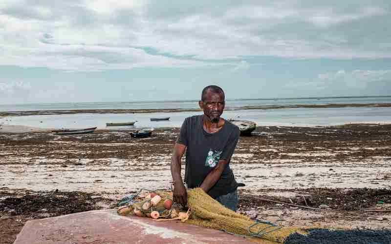 簡(jiǎn)歷怎么寫mysql、mysql的軟件叫什么