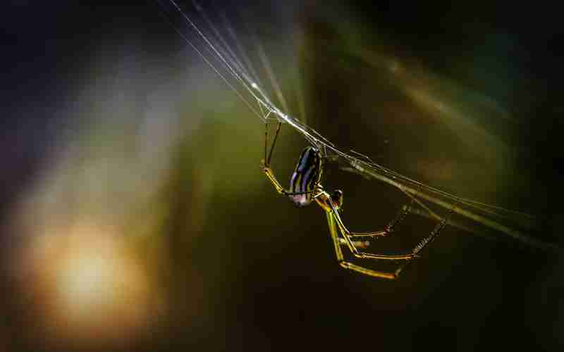 discuz如何更改用戶論壇,discuz社區(qū)動力