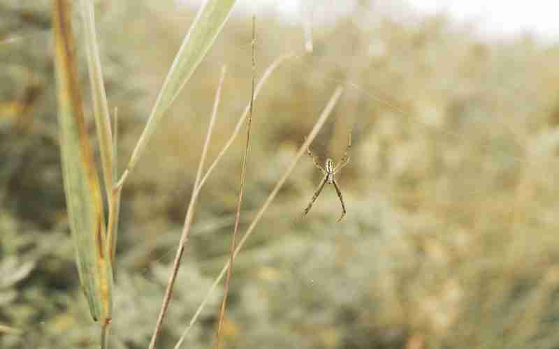 wordpress批量注冊(cè)提問軟件(wordpress手機(jī)模板)