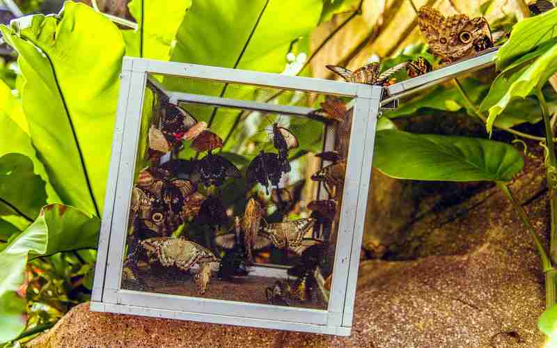 迪普防火墻nat在哪;迪普防火墻查看配置命令