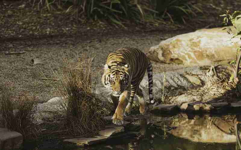 mysql數(shù)據(jù)庫(kù)怎么關(guān)閉mysql數(shù)據(jù)庫(kù)使用