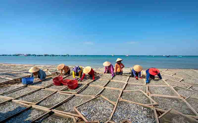 國內(nèi)哪個防火墻最好用(十大國內(nèi)防火墻軟件排名)