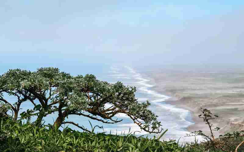 zblog別人留言顯示頭像—朋友圈評論顯示頭像