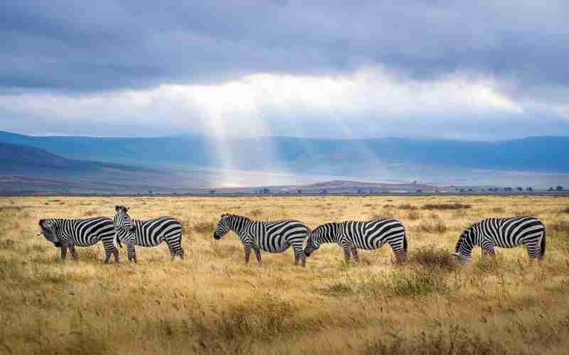 mysql服務(wù)器怎么重啟 啟動mysql服務(wù)命令