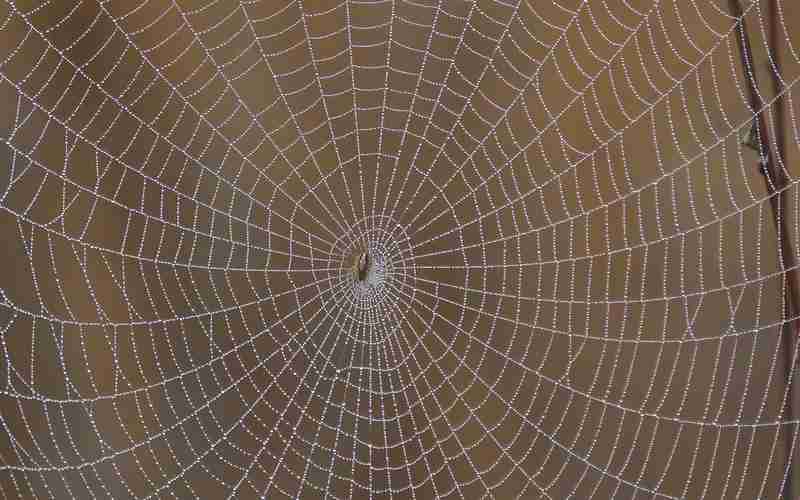 寶塔面板登錄ssh教程_寶塔面板找回登錄地址