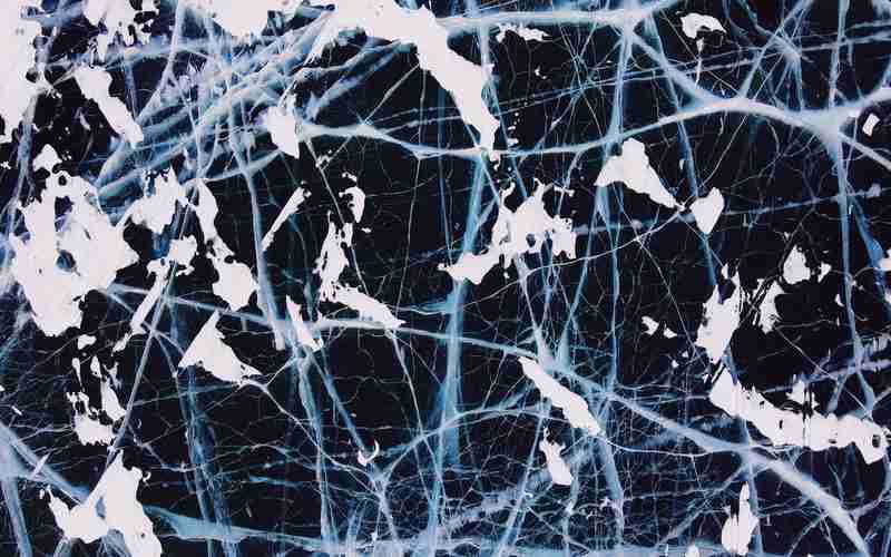 新主題 老版本 wordpress-wordpress哪個(gè)主題好